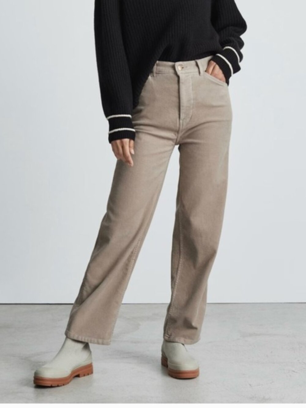 Everlane The Moleskin Way High Wide Leg Pant Burnt Sugar Tan Size 2